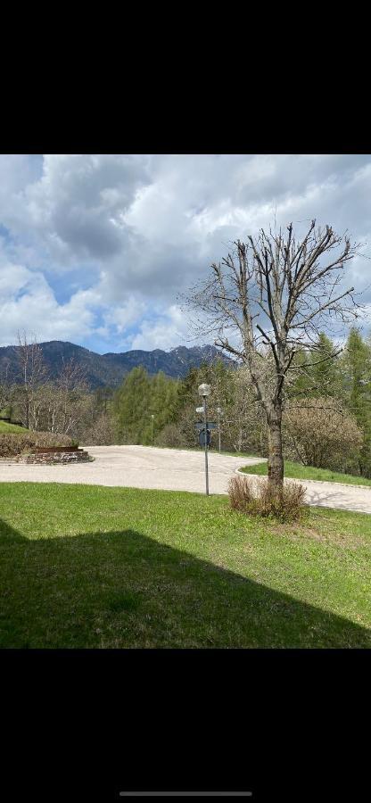 Apartamento Casa Gilda Val Di Fiemme - Dolomiti Cavalese Exterior foto